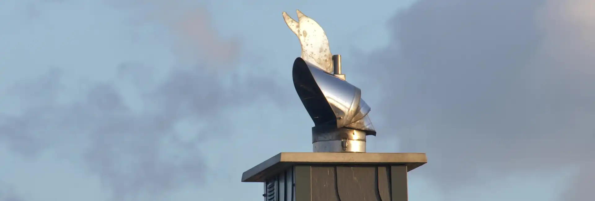 For Bird Guards and Chimney Cowls, Fluecheck have what you need