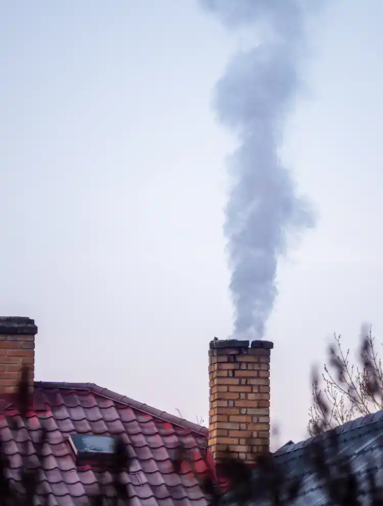 Chimney smoke test to check integrity of flue and chimney